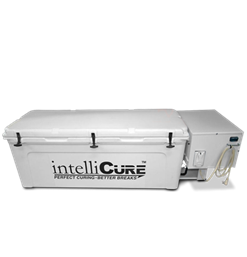 intelliCure Mega Curing Box