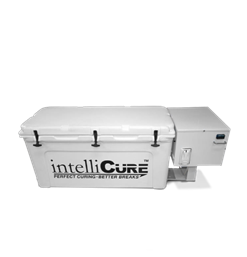 intelliCure Mini Curing Box