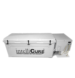 intelliCure Standard Curing Box